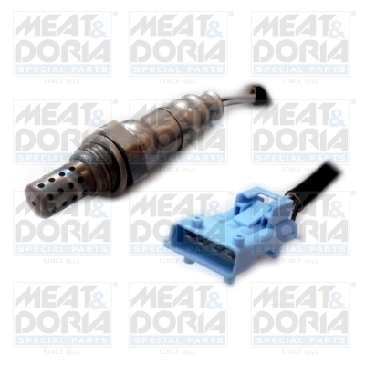 Oxygen Sensor